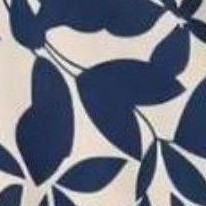 blue print