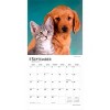 BrownTrout Kittens and Puppies 2026 12"x24" Hanging Square Wall Calendar Plastic-Free - 4 of 4
