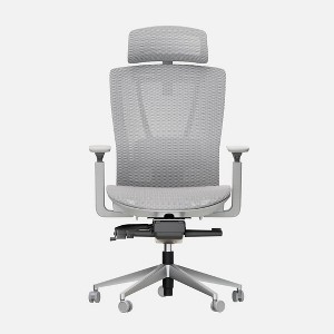Autonomous ErgoChair Pro Office Chair Lumbar Support - Foam - 1 of 4