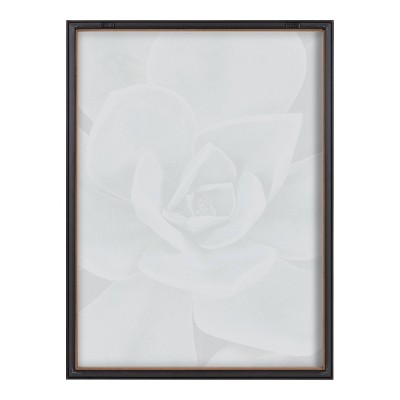 Gray Framed Botanical Succulent Plants Canvas Set