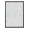 18" x 24" Blake Botanical Succulent Plants Printed Glass Framed Canvas by the Creative Bunch Studio Gray - Kate & Laurel All Things Decor: - 3 of 4