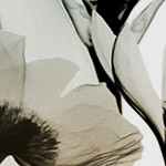 luster gray