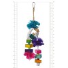 Prevue Pet Products Tropical Teasers Mai Tai Bird Toy, Multicolor - 2 of 2