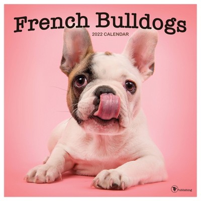 2022 Wall Calendar French Bulldogs - The Time Factory