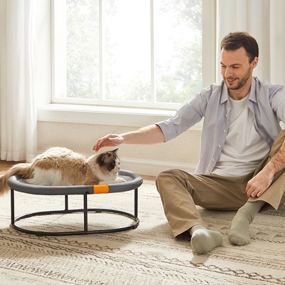 Gray Oval Elevated Cat Bed with Washable Mesh
