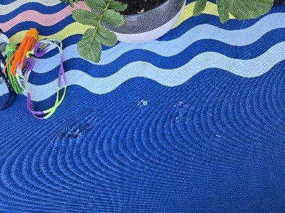Guest review image 1 of 1, zoom in