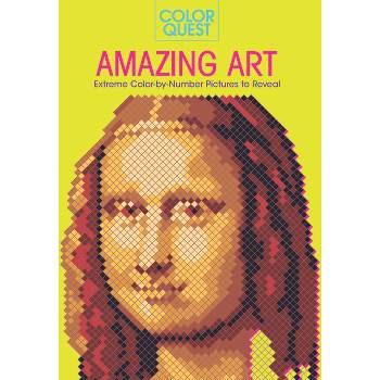 Color Quest: Amazing Art - (Paperback)