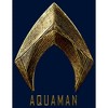 Men's Zack Snyder Justice League Aquaman Logo Sweatshirt - 2 of 4