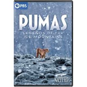 Nature: Pumas - Legends Of The Ice Mountains (DVD) - 1 of 1