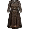 Women's Plus Size Lace Lover Dress - black | CITY CHIC - 3 of 4