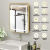 Lighted Medicine Cabinet with Mirror Wall Mounted Bathroom Mirror with Storage - 3 of 4