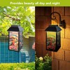 Briarwood Lane Summer Lantern 12" x 6" x 6" Sunset Parrot Solar For Summer Lantern - 3 of 4