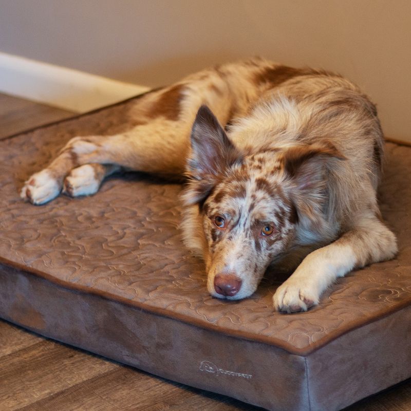 BuddyRest Juliet Advanced Orthopedic Dog Bed, 3 of 8