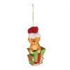 Puppy in Package Ornament (Set of 6) - 2 of 2