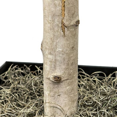 6' Green Artificial Ficus Tree in Black Metal Planter