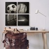Stupell Industries Sports Balls Photography, 17" x 17" (Set of 4) - 2 of 4