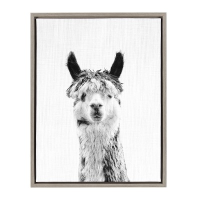 18" x 24" Sylvie Llama Framed Canvas by Simon Te Tai Gray - Kate and Laurel