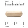 Super Nutrition Organic Maitake Mushroom + Ginger, 60 Veggie Capsules - 3 of 4