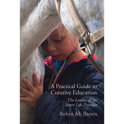 A Practical Guide to Curative Education - by  Robyn M Brown (Paperback)