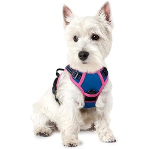 rabbitgoo Dog Harness No Pull with 2 Leash Clips, , Reflective Oxford No Choke Pet Vest with Easy Control Handle for Large Dogs, Blue & Hot Pink, XS - 1 of 1