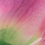 pink, purple