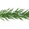 Northlight Norfolk Pine Artificial Christmas Garland - 5' - Unlit - 4 of 4