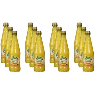 Robinsons Water Orange Barley - Count of 12 - 28.74 fl oz - 1 of 4