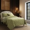 Indigo Road by Egypt Sherrod Malone Luxe Channeled Velvet Quilt Set - 4 of 4
