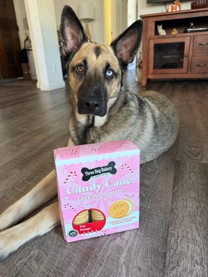 Guest review image 2 of 3, zoom in