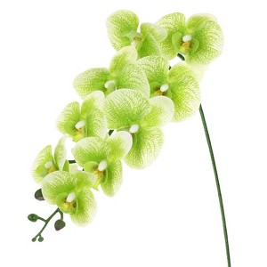 Unique Bargains Artificial Orchid Flowers Nine-headed Large Faux Phalaenopsis Silk Bouquets Real Touch 37 Inch - 1 of 4