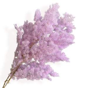 Alilang Decorative Dried Fine Leaf Stems for Home Decoration and Floral Arrangements, 17.7 Inches - 1 of 3