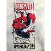 Spiderman Grey Cloud Washed Long SLeeve Tee - 2 of 4