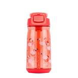 Reduce 18oz Plastic Hydrate Tritan Kids Water Bottle with Straw Lid