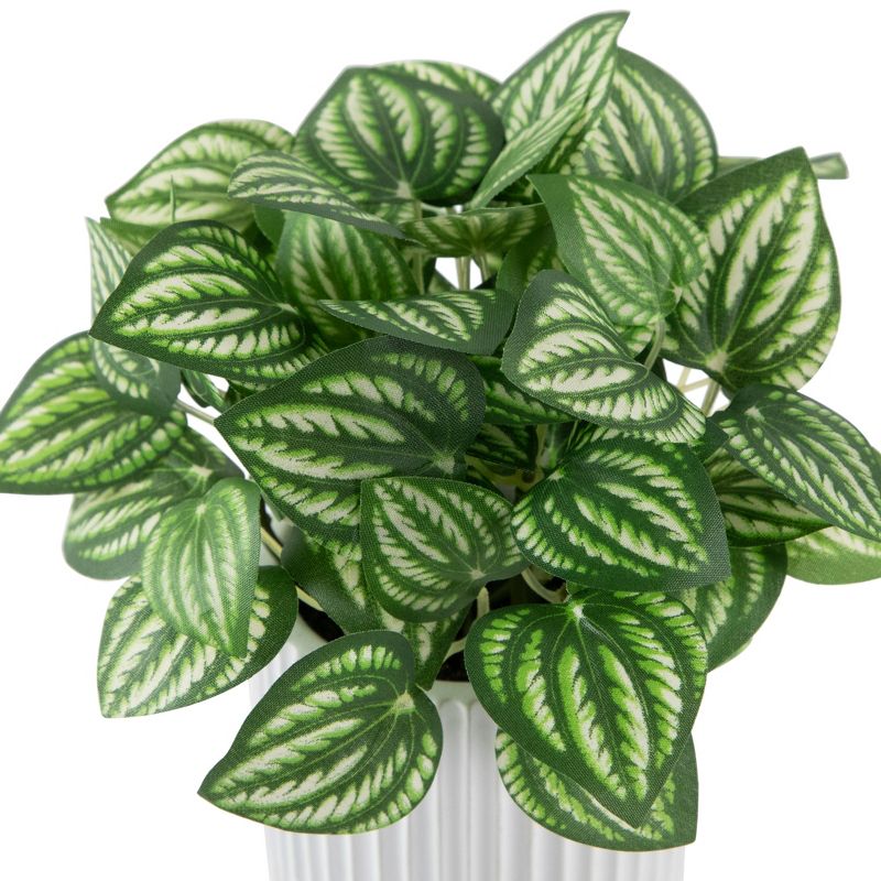 Northlight 6.5" Artificial Watermelon Peperomia Plant in White pot, 4 of 7