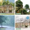 Greenhouse for Outdoors, Heavy-Duty Walk-In Design with Roof Vent, Ground Nails & Sliding Lockable Door, for Garden Backyard - 4 of 4