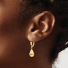 Black Bow Jewelry Polished 3D Teardrop Lever Back Earrings in 14k Yellow Gold - 3 of 4