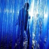 PartyWoo Fringe Curtain Royal Blue Foil Metallic 2 pcs - 4 of 4