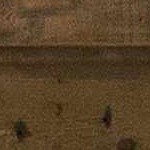 beige, taupe, medium gray, gray, medium brown