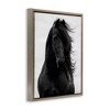 Stupell Industries Black Stallion Horse Portrait Floating Frame Canvas Art - 2 of 4