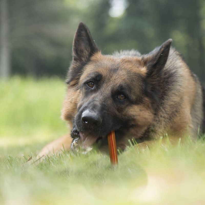 Cadet Choice Chews Peanut Butter Rolls Dog Treats - 10ct, 5 of 6