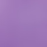 loving leopard paisley purple/black