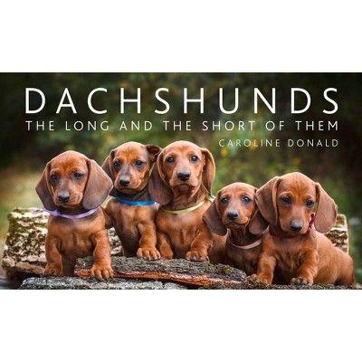 Dachshunds - by  Caroline Donald (Hardcover)