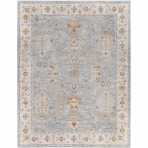 Hauteloom Bradley Oushak Area Rug - 1 of 4