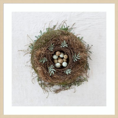 Amanti Art Winter Nest by Tania Soderman Wood Framed Wall Art Print