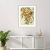 Amanti Art Branch of Oranges I by Jacob Q Wood Framed Wall Art Print - 4 of 4
