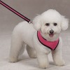 Casual Canine Mesh Harness L Pink - 2 of 3