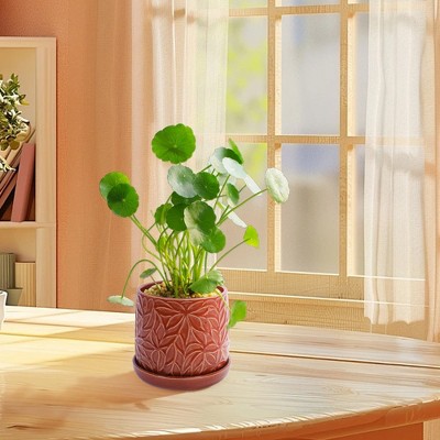 Chic Crate Set of 2 Modern Ceramic Planter Pots – Indoor & Outdoor Flowerpot with Drainage Hole for Patio & Windowsill