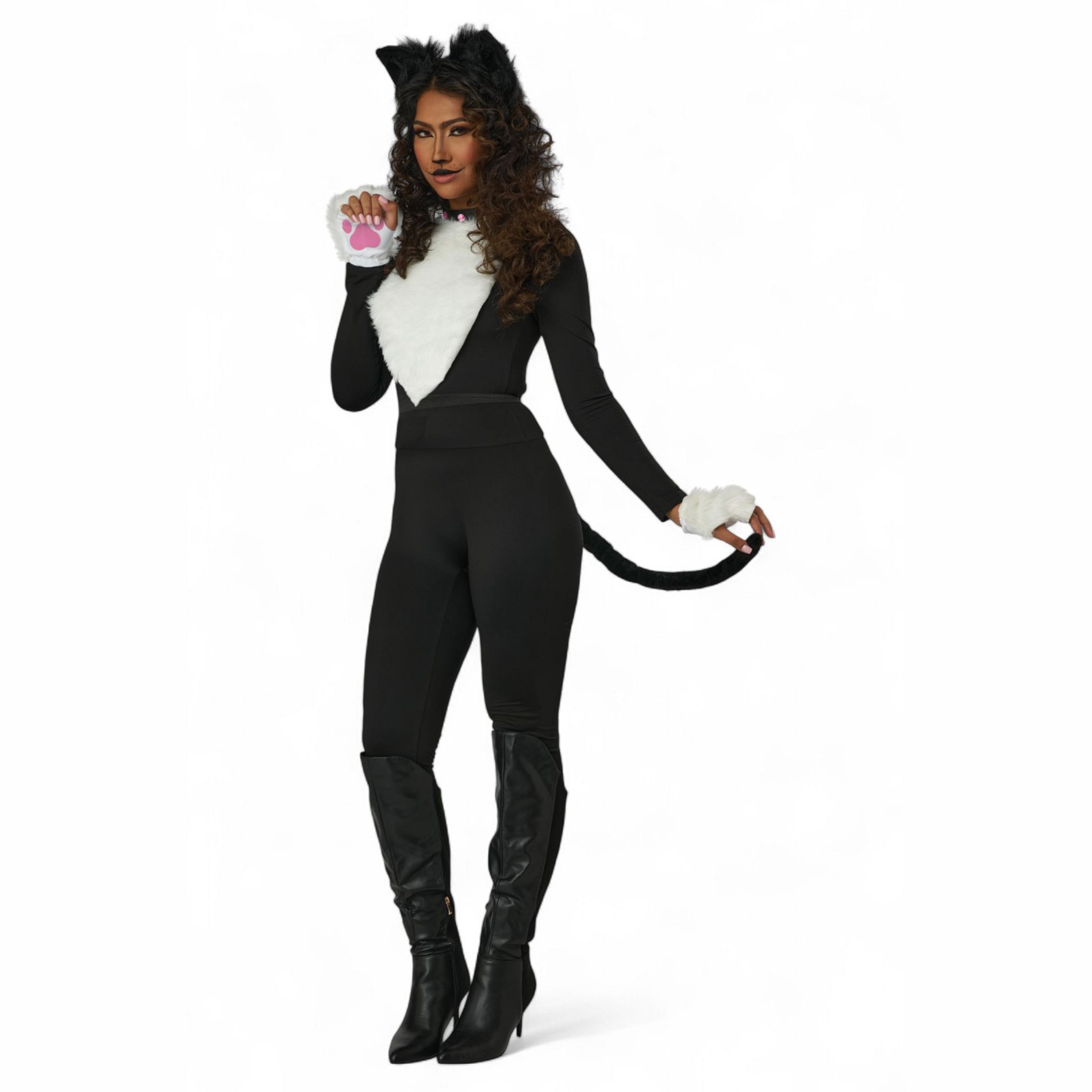 California Costumes Kitty Cat Adult Costume Kit