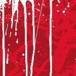 clear push pins bundle