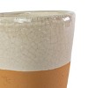 Gray Top Dipped Terracotta Planter - Foreside Home & Garden - 4 of 4